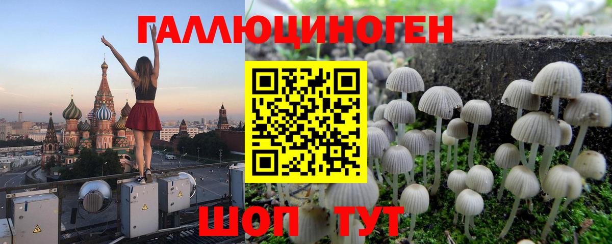 Наро-Фоминск  Галлюциногенные грибы Psilocybine cubensis  где найти   Вход с VPN 