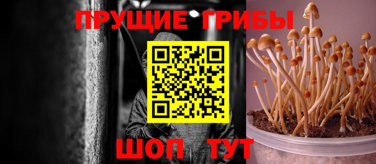 Псилоцибиновые грибы мухоморы Наро-Фоминск
